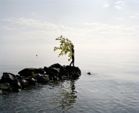 http://www.urosacman.com/files/dimgs/thumb_0x200_2_7_56.jpg