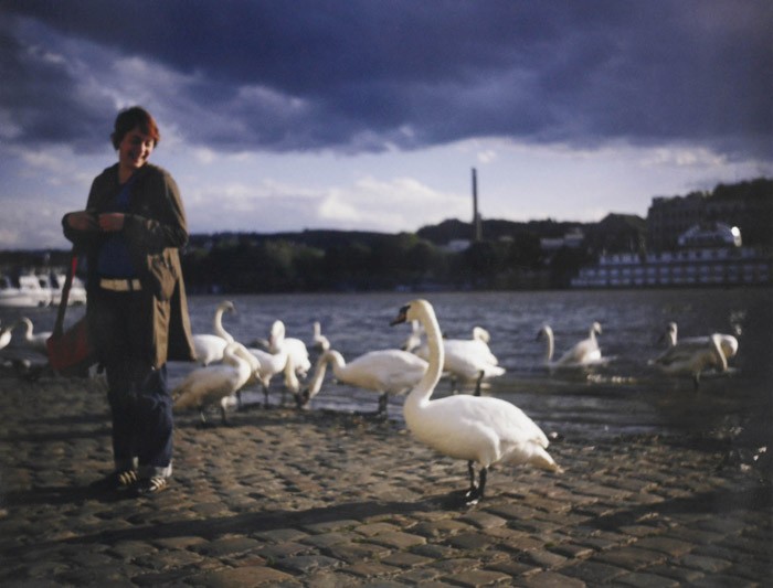 http://www.urosacman.com/files/gimgs/th-8_pola11.jpg