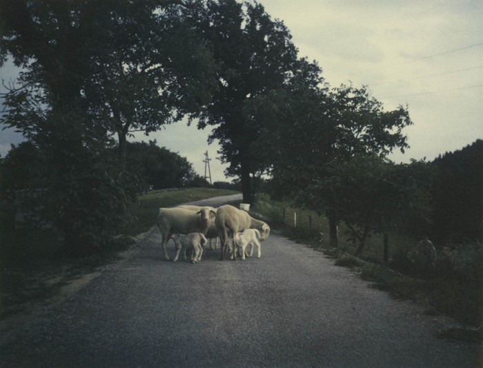 http://www.urosacman.com/files/gimgs/th-8_pola6.jpg